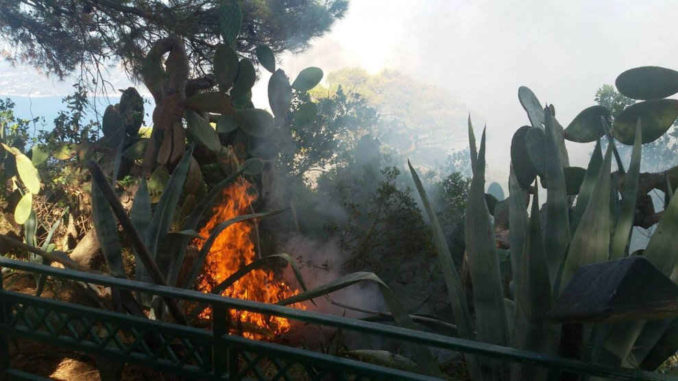 185245556-4e5dc8dd-e9e8-4f50-a4f5-085525d4a008