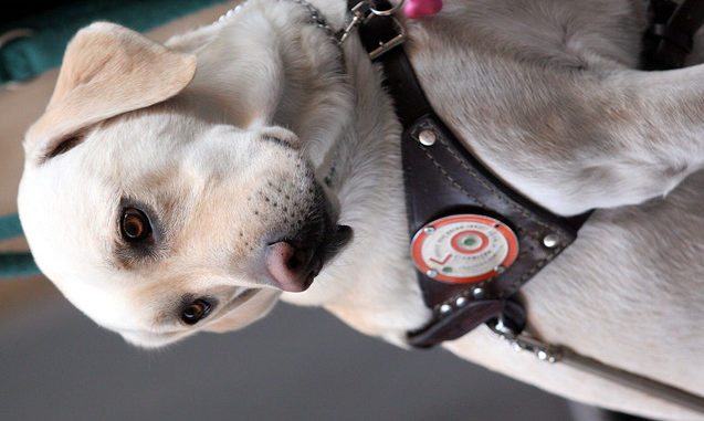 220bc2fb89b9a6afa0834992ca9ab758