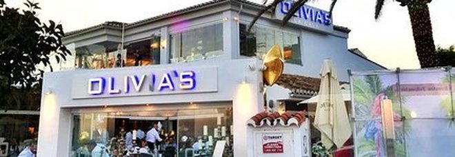 4041084_1622_olivia_s