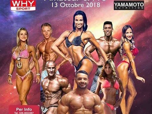 43515619_342103903224362_8898791617310228480_n