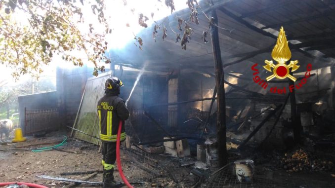 44027571_301893033873255_4989869489546854400_n