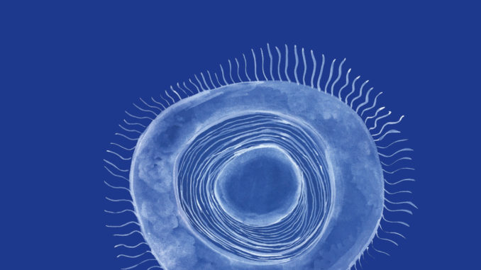 9788896884218_0_0_0_75