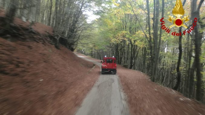 WhatsApp Image 2018-10-21 at 17.26.17