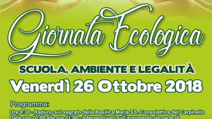 WhatsApp Image 2018-10-24 at 22.47.33