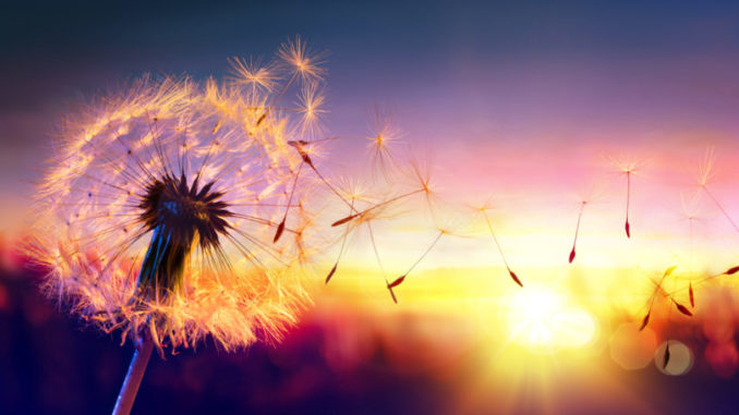 shutterstock_401624755-810x506