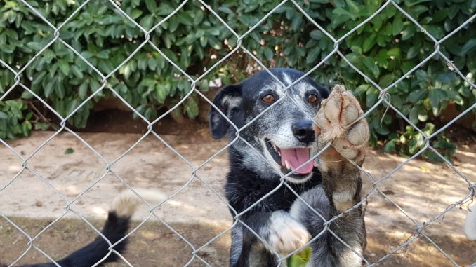 20181020_142522(0) (1)