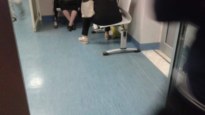 46035854_254143195221251_3578132628617822208_n