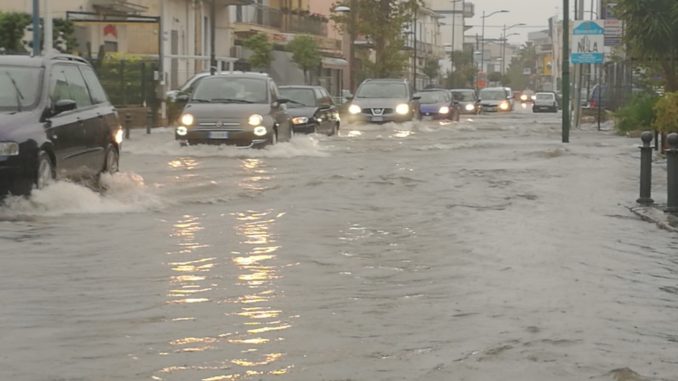 WhatsApp Image 2018-11-02 at 08.10.45(1)