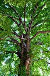 WhatsApp Image 2018-11-03 at 23.20.23