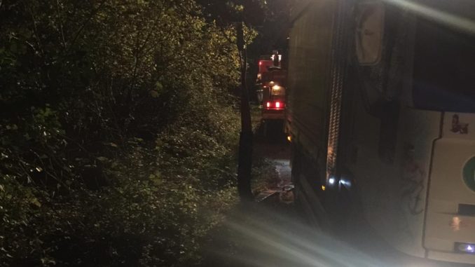 WhatsApp Image 2018-11-08 at 21.12.49