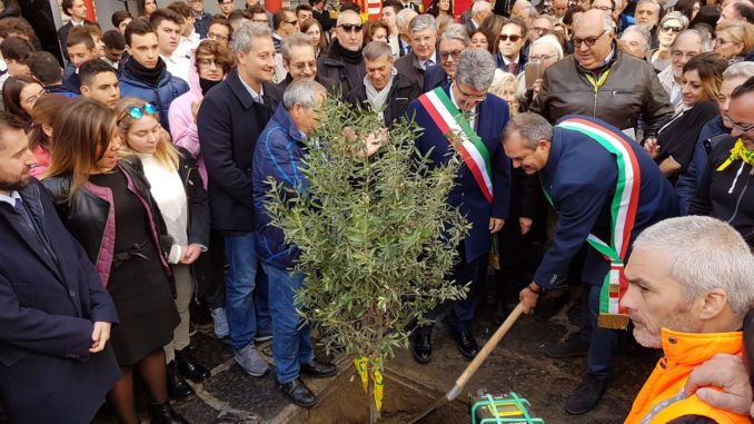 dono ulivo per simonetta (1) (1)