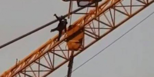 selfie_vienna_1_ef444af4d75dc89b09895bbfddb607e9