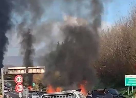 47351296_1953262341458377_7573420050418237440_n