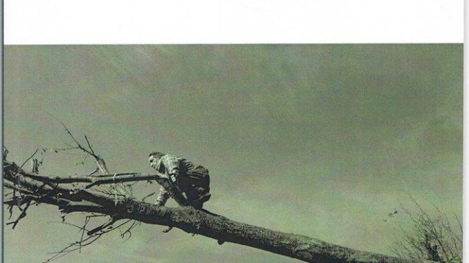 47579226_1793140807462700_7225224337312186368_n