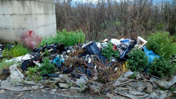 48314882_325534511378446_189977072200843264_n