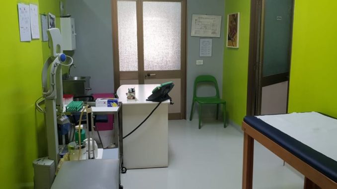 48419951_129646834618268_2487720026497351680_n