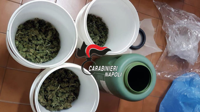 IMG-20181223-WA0006 (1)