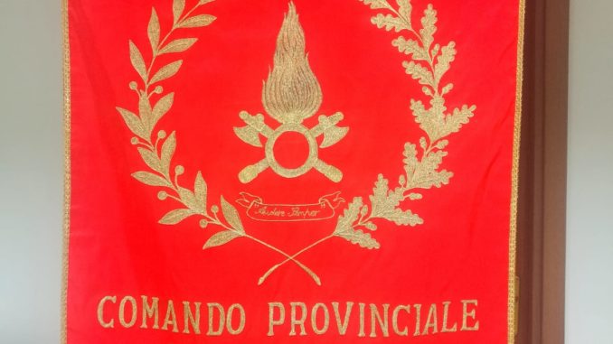 WhatsApp Image 2018-11-28 at 15.13.49