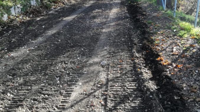 WhatsApp Image 2018-12-14 at 12.38.27