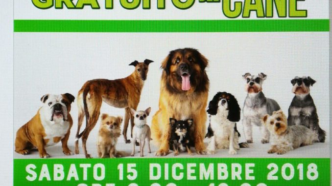 WhatsApp Image 2018-12-15 at 01.29.12