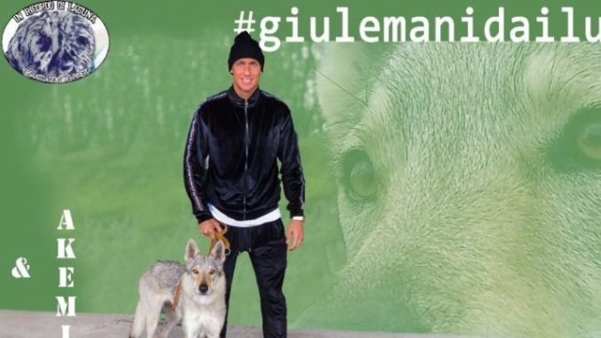 giu-le-mani-dai-lupi-e1512992220320-817x404_c