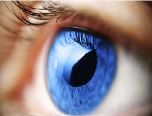 occhio_17_161c4f32765f241c132fa05113dd5fa3