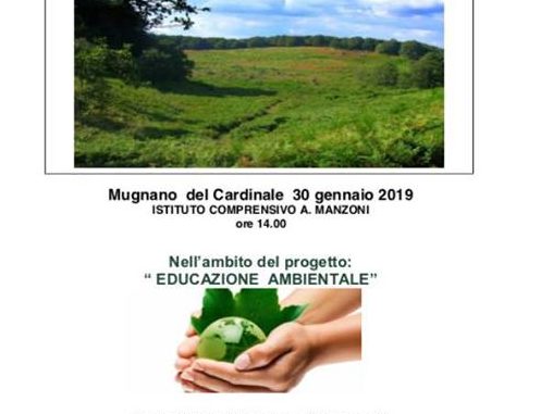 50868970_400627567350040_4437277962156376064_n