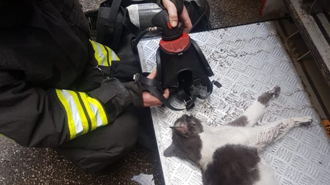 WhatsApp Image 2019-01-07 at 17.14.02