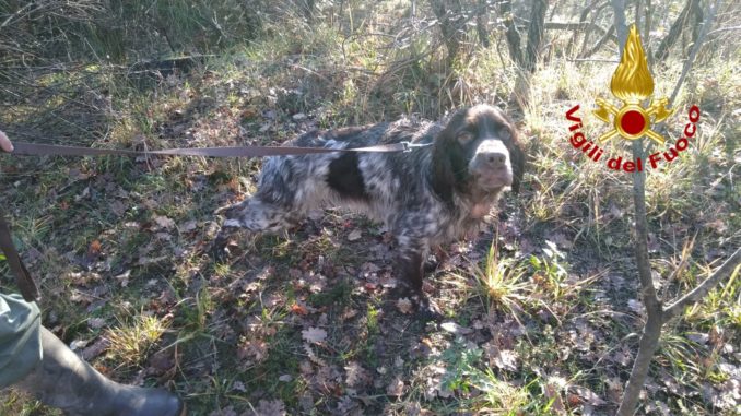 WhatsApp Image 2019-01-19 at 21.44.17