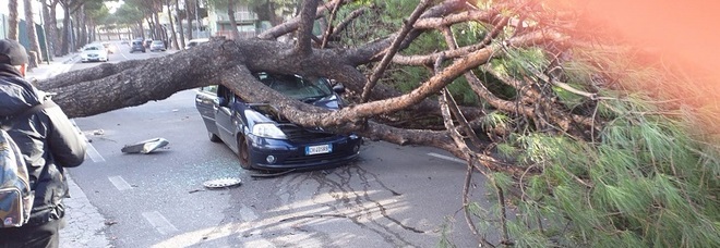 4319360_1038_san_sebastiano_danni_maltempo_auto_distrutta.jpg.pagespeed.ce.ktnmkdOMvC