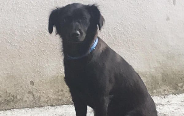 51423134_403133643767293_2789722241053491200_n