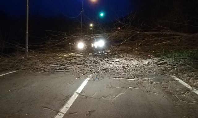 53121399_2080617892005524_8992300683206066176_n