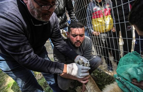 AFP_1DD05F-kfHF-U31009936678489I-593x443@Corriere-Web-Sezioni