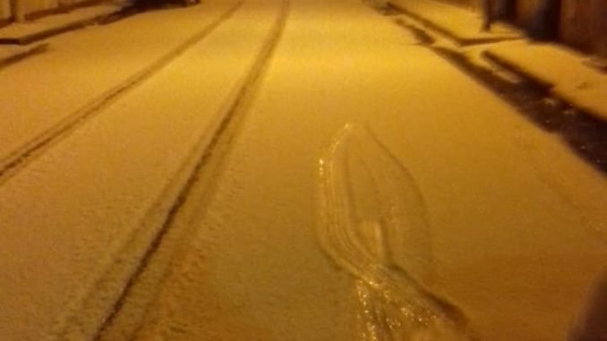 53530345_1200111416832919_1562622695579844608_n