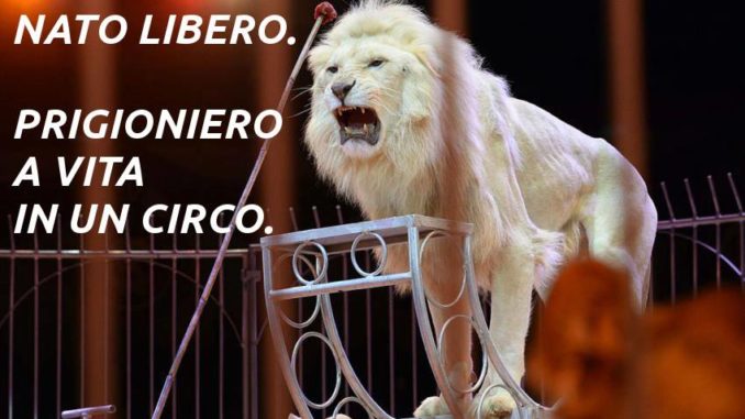 53602131_2096428340446078_8213120137411166208_n