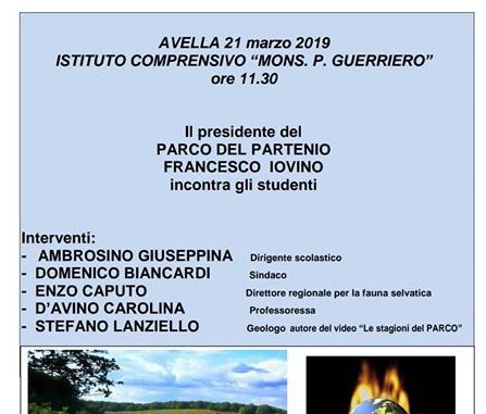 54258072_414363325990679_4797384448502923264_n