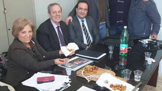 54409173_559495474545429_2069943777316831232_n