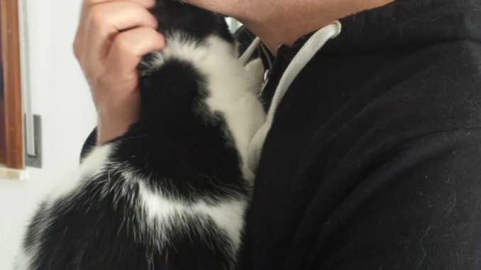 6dfa1989-a8d5-4919-a45d-ccaa7e9de2a8 (1)