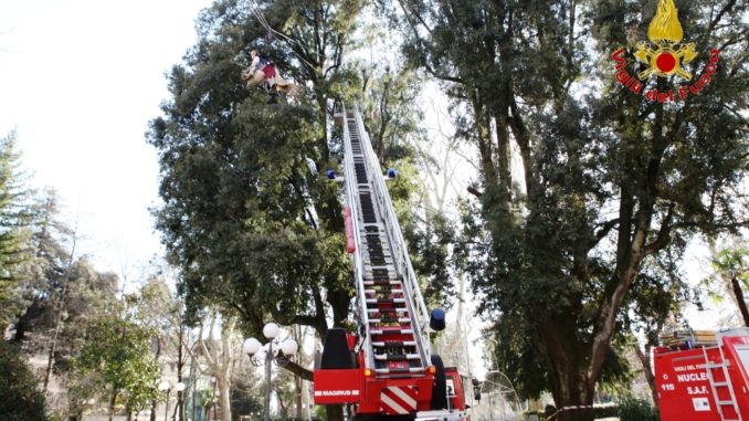 WhatsApp Image 2019-03-12 at 21.10.37