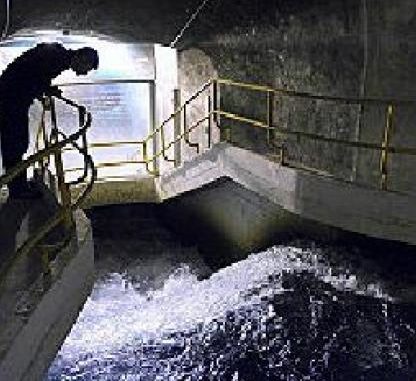 WhatsApp Image 2019-03-25 at 22.08.48