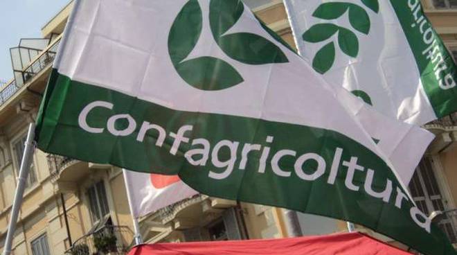 confagricoltura-bandiera-138397.660x368