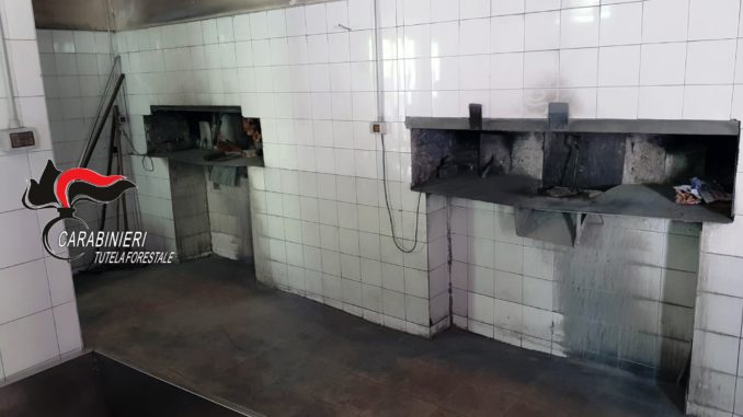 13.04.2019 - panificio saviano (1)