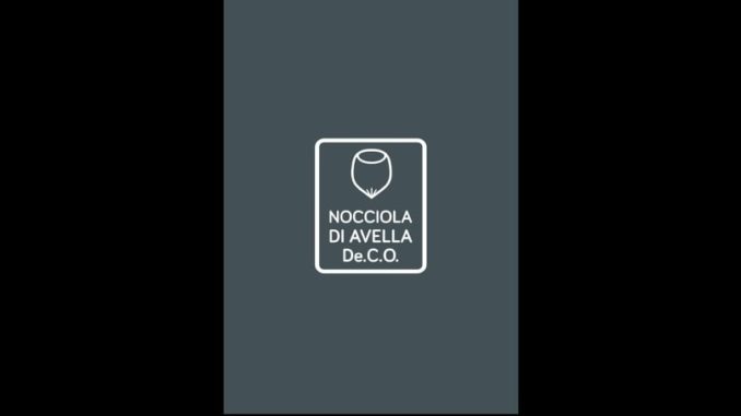 59781886_2373937439323338_1366087204023042048_n