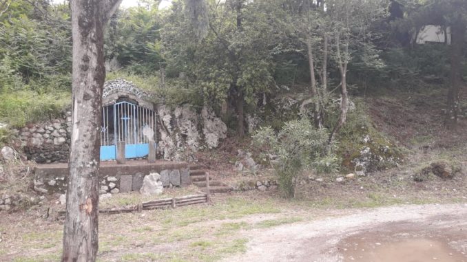 61841636_311898316404432_3804580982548332544_n