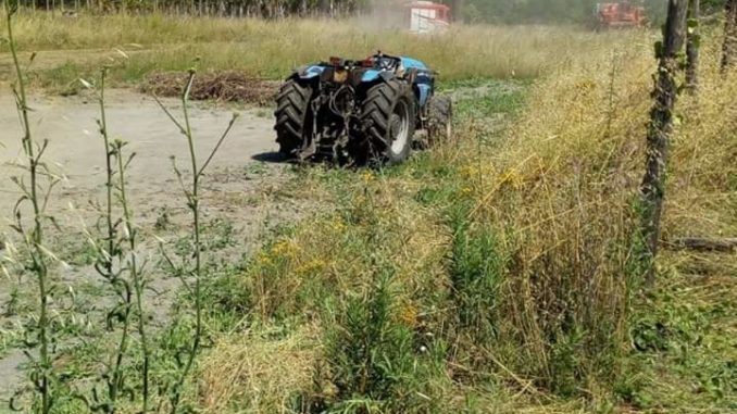 WhatsApp Image 2019-06-23 at 20.27.32