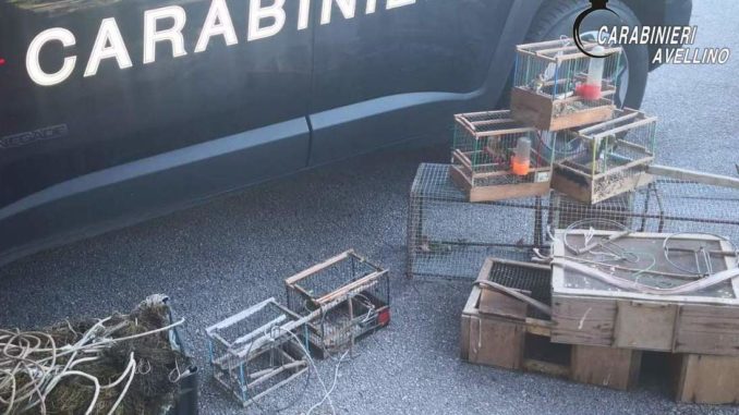 06728A30-FD21-4693-BDFF-2331E4C807B0