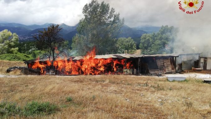 WhatsApp Image 2019-07-28 at 16.36.26