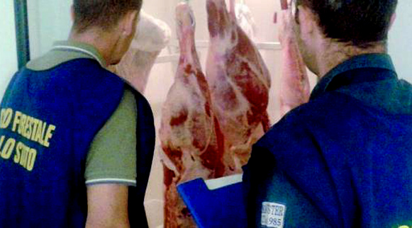 sequestro-corpo-forestale-dubbia-proveninza-carne-2014