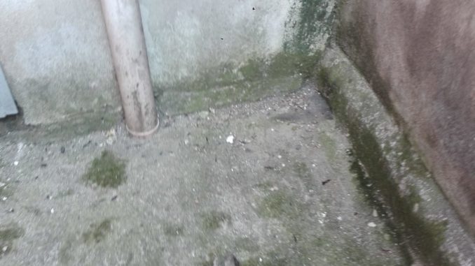 WhatsApp Image 2019-08-15 at 08.35.50