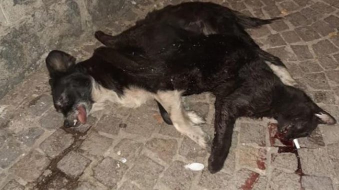 6d5f6fd0-32a5-42f4-9682-576ee2f33297